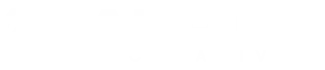 andizo white logo